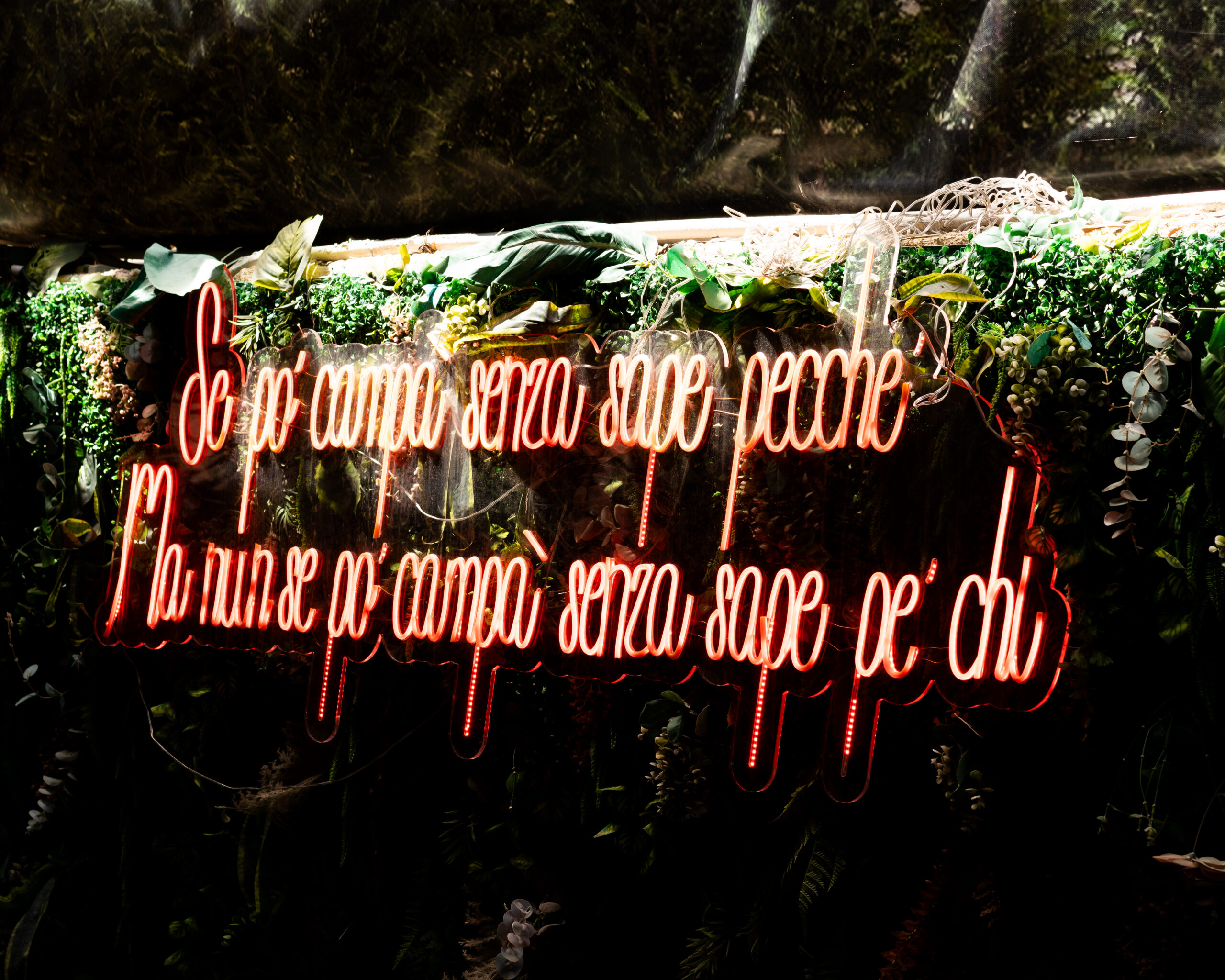 Insegna al neon Bagaria
